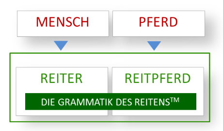 TRUST-YOUR-HORSE - Vom Pferd zum Reitpferd - vom Mensch zum Reiter